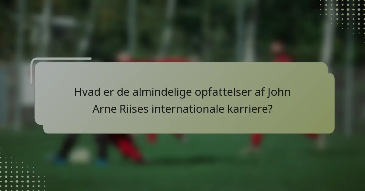 Hvad er de almindelige opfattelser af John Arne Riises internationale karriere?