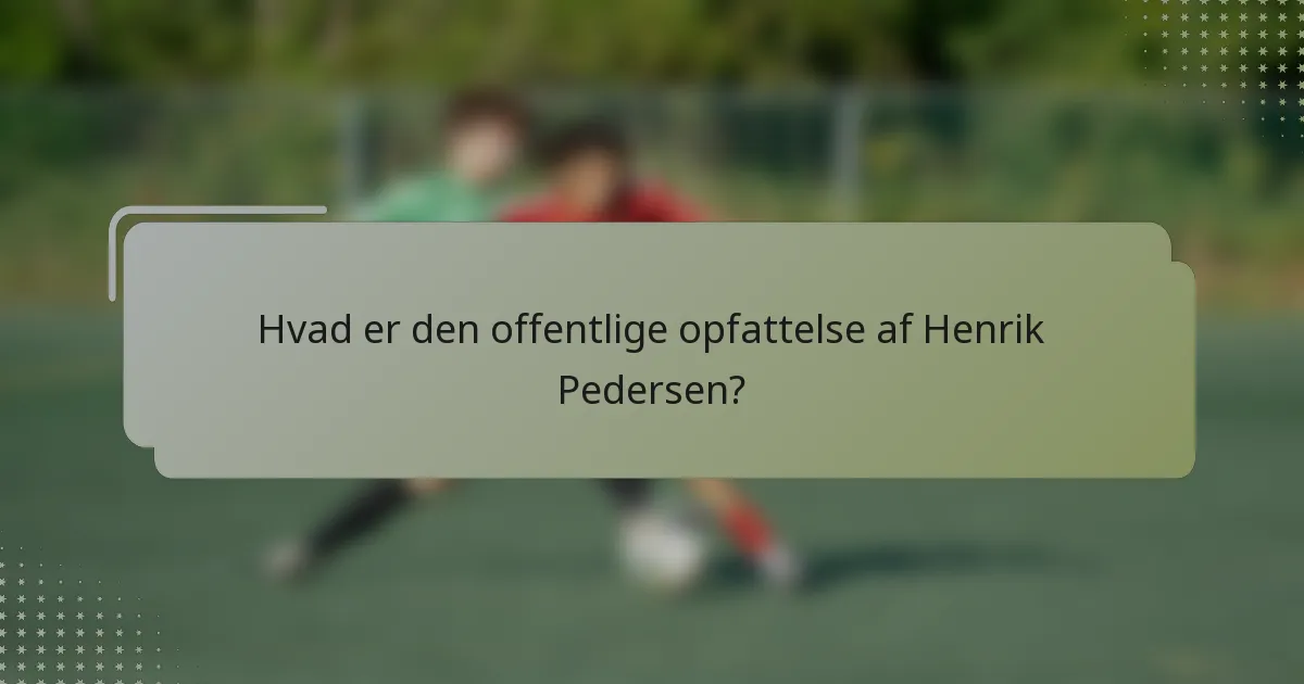 Hvad er den offentlige opfattelse af Henrik Pedersen?
